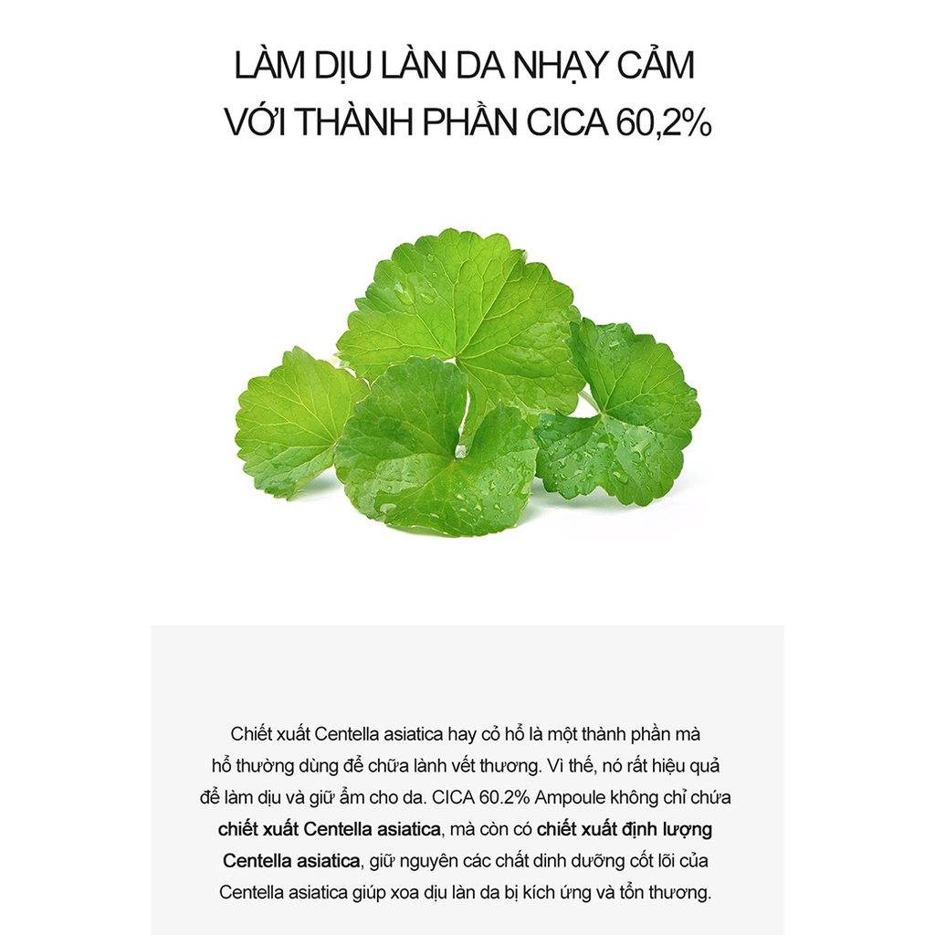 Huyết thanh rau má  Derma Factory CICA 60.2% Ampoule 30ml