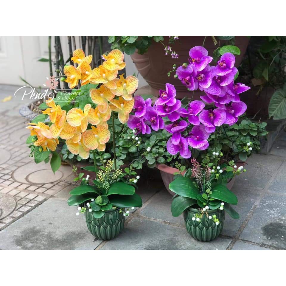 Chậu hoa lan hồ điệp giả trang trí phòng khách đẹp PKND FLOWERS & DECOR CH08