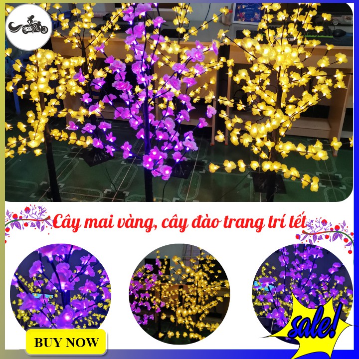 Cây mai vàng, hồng đào size 120cm hoa led  trang trí tết siêu đẹp
