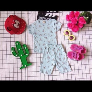 Combo đồ bộ bé gái