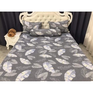 Set bộ thun hàn m8 áo 50x70 mền + 5d 1,6m