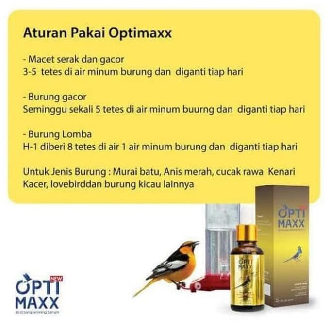 Giày Optimax Vitamins When Your Birds For All Lomba Birds