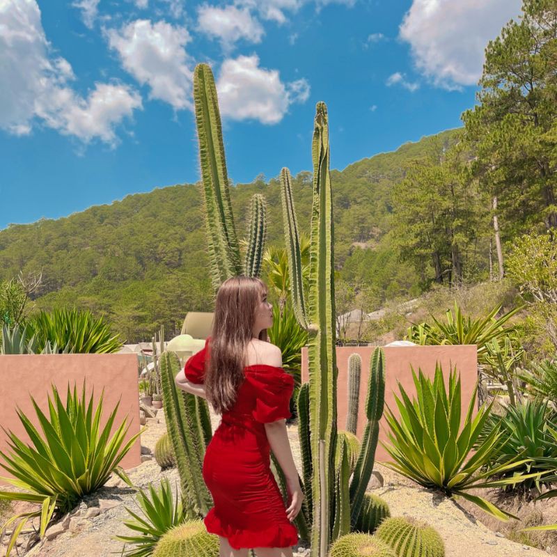 Đầm nhún cổ u bigsize