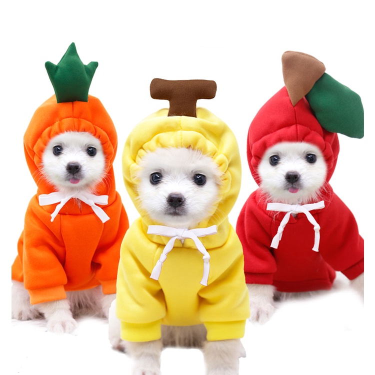 Áo hoodie cún cưng thiết kế họa tiết trái cây đáng yêu