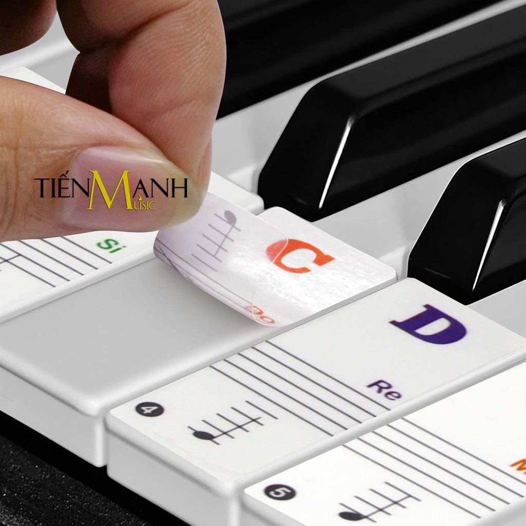 Sticker Dán nốt bàn phím cho Đàn Piano và Organ - Decal đánh dấu vị trí note nhạc dùng cho Đàn 88, 61, 54, 49 Phím