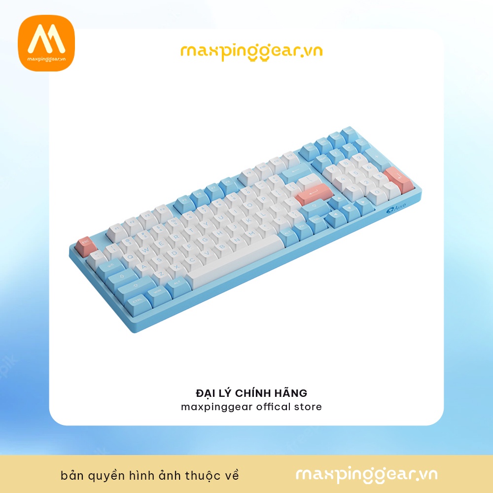 Bàn phím cơ AKKO 3098B Multi-modes Doll of the Princess (Bluetooth 5.0 / Wireless 2.4Ghz / Hotswap / Foam tiêu âm / AKKO