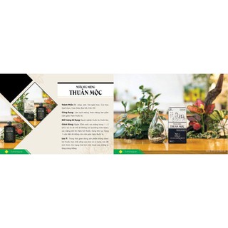 NƯỚC SÚC MIỆNG CAI THUỐC LÁ THUẦN.MỘC