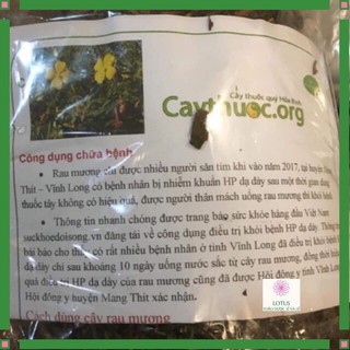 Cây rau mương hỗ trợ đau dạ dày 1kg, ợ chua, trào ngược dạ dày hiệu quả