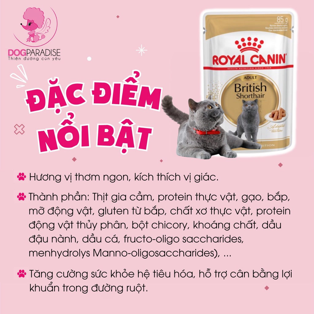 Thức ăn ướt cho mèo lông ngắn Royal Canin Adult British Short Hair dễ dàng tiêu hóa 85g - Dog Paradise