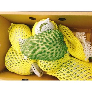 Cây Giống Na Sầu Riêng