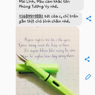 Bút máy thanh đậm Queen Bee 02