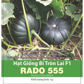 Hạt Giống Bí Đỏ Tròn Lai F1 Rado 555 Gói 1g Da Xanh Nhật Bản - Dễ Trồng, Thơm Ngon