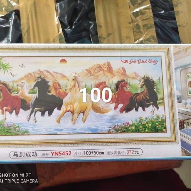Tranh đính đá