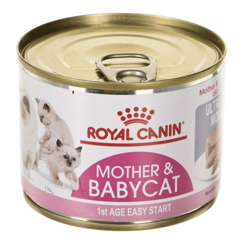 Pate cho mèo Royal Canin Mother &amp; Baby Cat, Pate dinh dưỡng cho mèo mẹ và mèo con - Lon 195gr