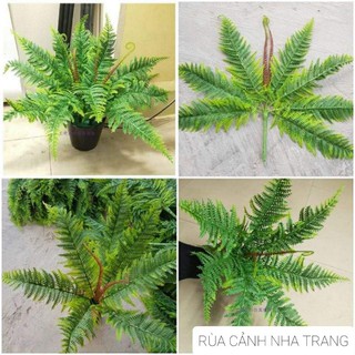 Dương xỉ giả dùng trang trí chuồng bò sát, dương sỉ decor nhà cửa, phòng khách, bàn làm việc