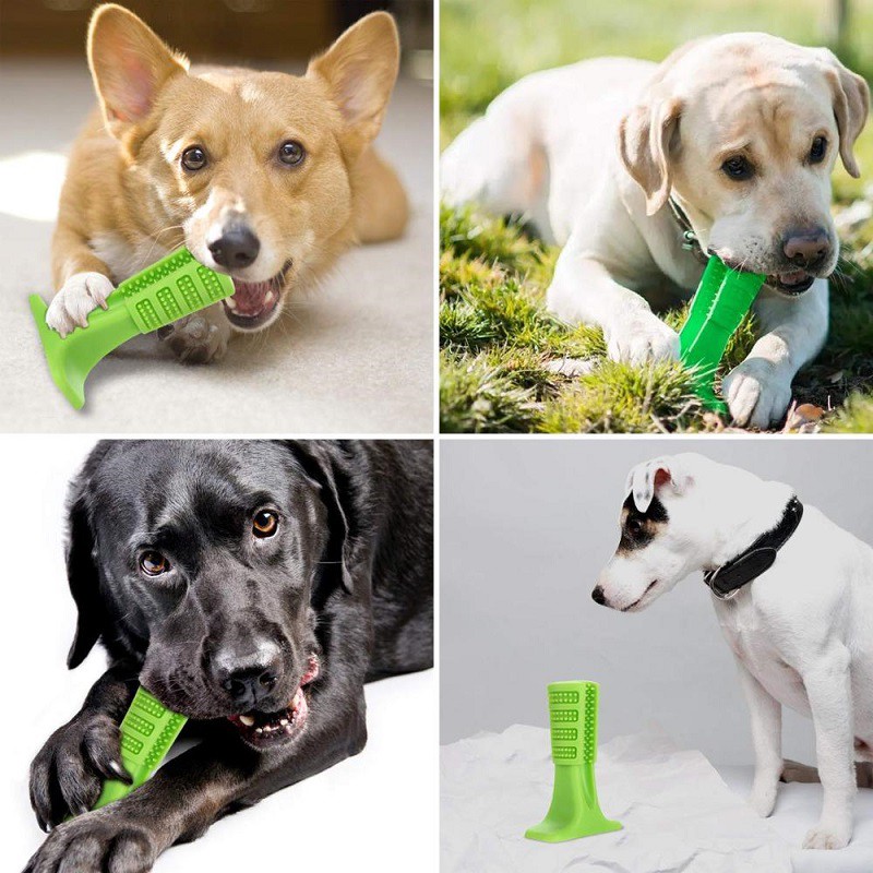 Size M/L/XL Đồ cắn mài răng cho thú cưng Pet Rubber Molar Stick