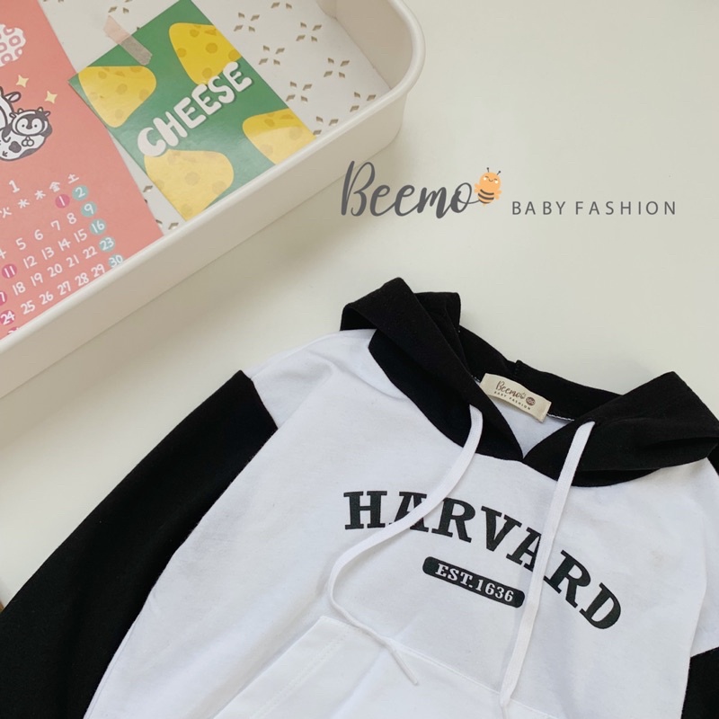Bộ thun Hodie mũ bé trai
