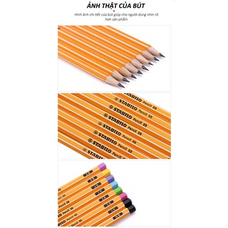 Combo bộ bút chì gỗ STABILO Pencil 2B PC88