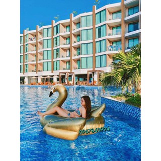 Phao khổng lồ hạc vàng gorl
