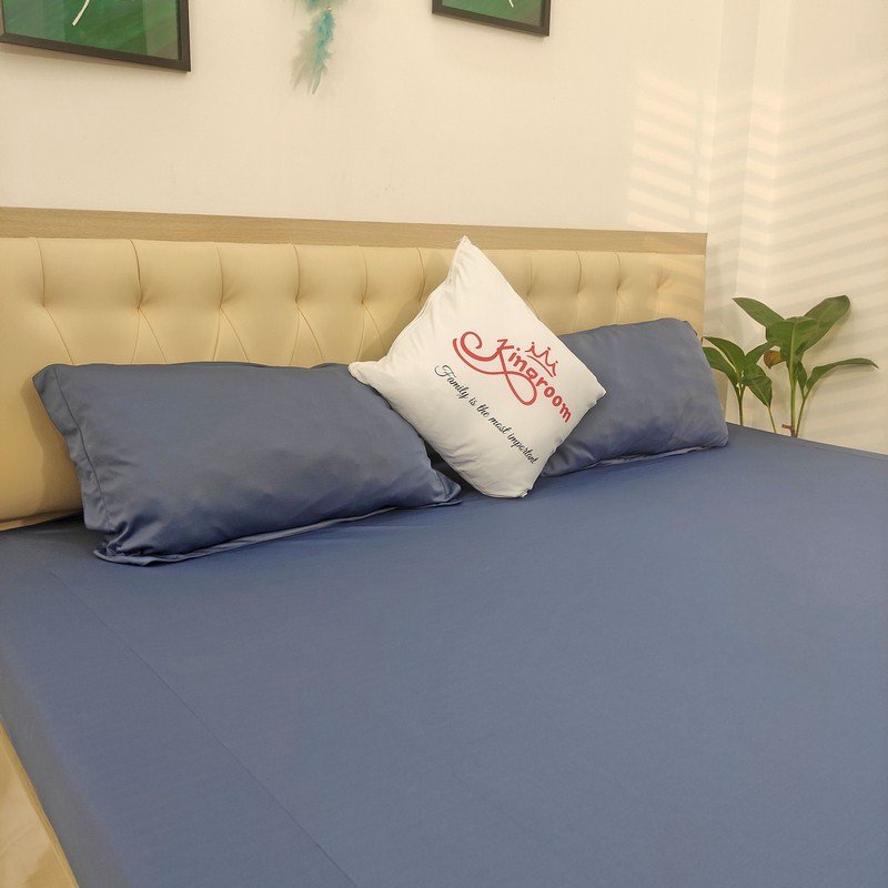 Bộ ga thun lạnh 3 món ga gối Kingroom chuyên drap thun lạnh đủ kích thước ga nệm 1m2, 1m6, 1m8 chưa gồm chăn | BigBuy360 - bigbuy360.vn