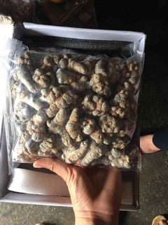 500g bột tam thất bắc nguyên chất