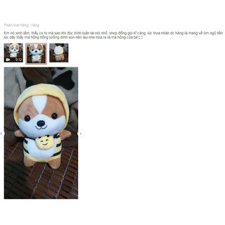 Gấu bông Anvihome size 25cm