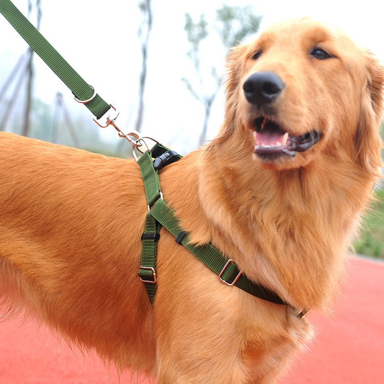 Dây dắt chó sơi dù loại yếm #police-dog