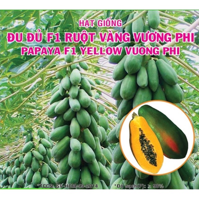 Hạt Giống Đu Đủ F1 Ruột Vàng Vương Phi-10 hạt