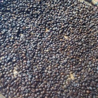 Cafe nguyên chất hạt robusta rang bơ 500g