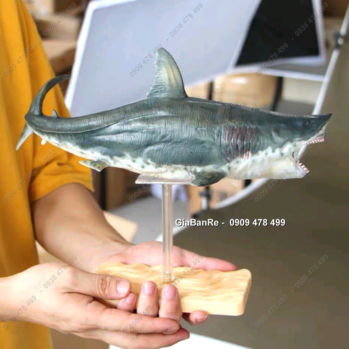 Mô Hình Cao Cấp Cá Mập Khổng Lồ Megalodon - Pnso - 7763.1