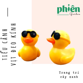 Vịt vàng đeo kính trang trí tiểu cảnh, sen đá, terrarium, Phụ kiện Tiểu cảnh mini