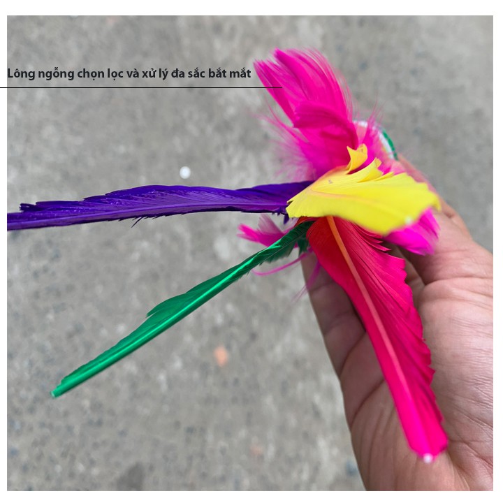 Cầu đá cầu kiểng nghệ thuật đa sắc CD3