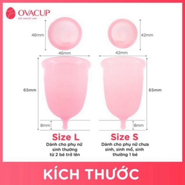 Cốc Nguyệt San OVACUP Nhập Khẩu Mỹ Chính Hãng 💖Tặng Full Quà💖