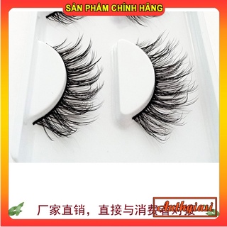 Mi chồn 3D 03