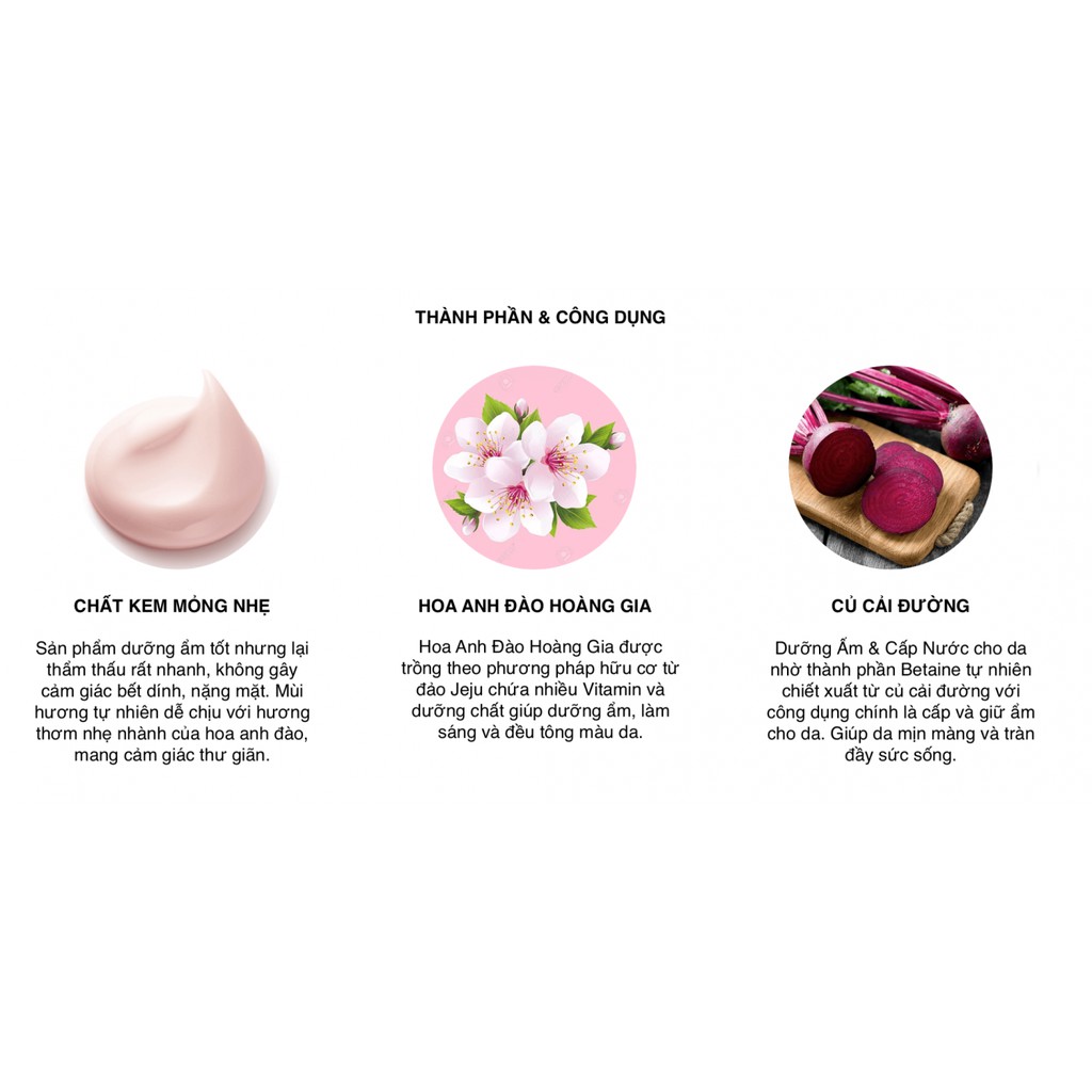 [SAMPLE] Kem Dưỡng Trắng Da Nâng Tone Tức Thì Innisfree Jeju Cherry Blossom Tone Up Cream 1ml | BigBuy360 - bigbuy360.vn