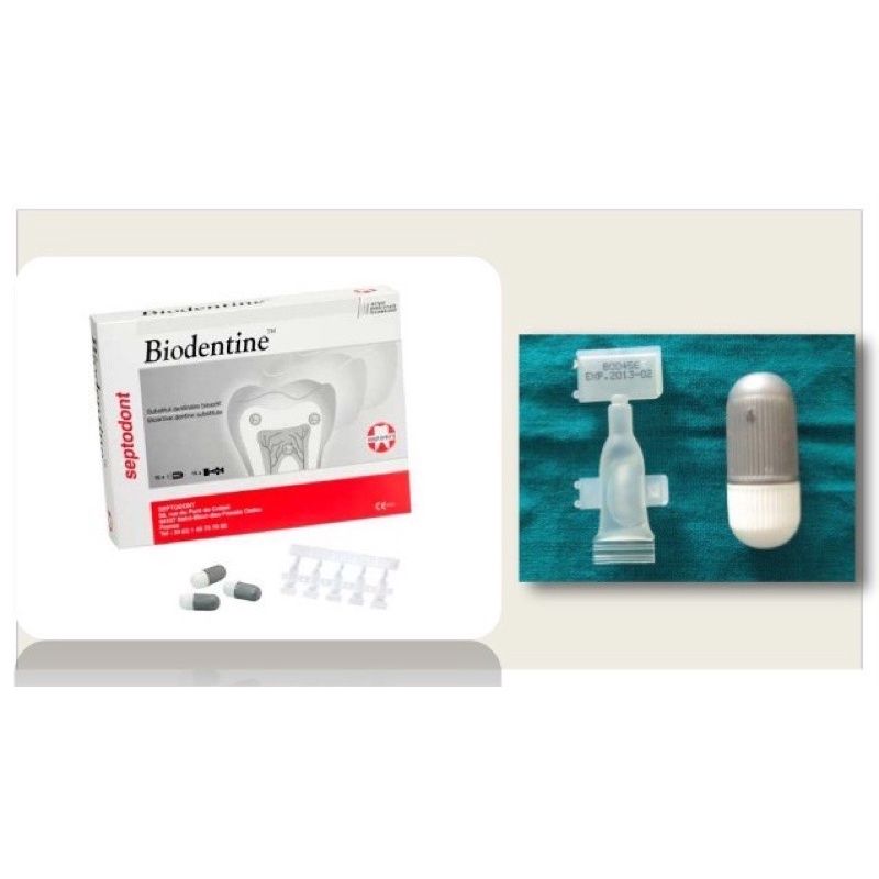 BIODENTINE Vật liệu sinh học thay thế ngà