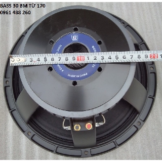 LOA BASS 30 BM TỪ 170-GIÁ 1 CÁI