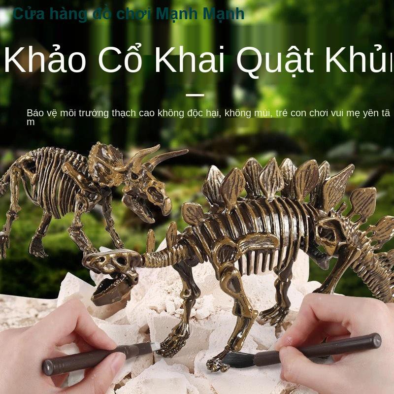 Hóa thạch khủng long trẻ em Mô hình bộ xương Tyrannosaurus rex Sản xuất thủ công DIY của Đồ chơi khai quật khảo cổ học c