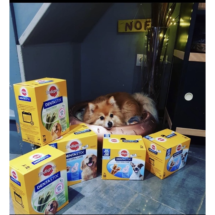 1 Xương gặm sạch răng PEDIGREE DENTASTIX sản phẩm bán chạy tại MỸ