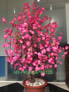 COMBO 1kg hoa + 0,5kg kẽm
