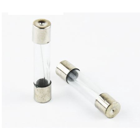 Cầu chì ống thủy tinh 6 x 30 mm 10A 250V