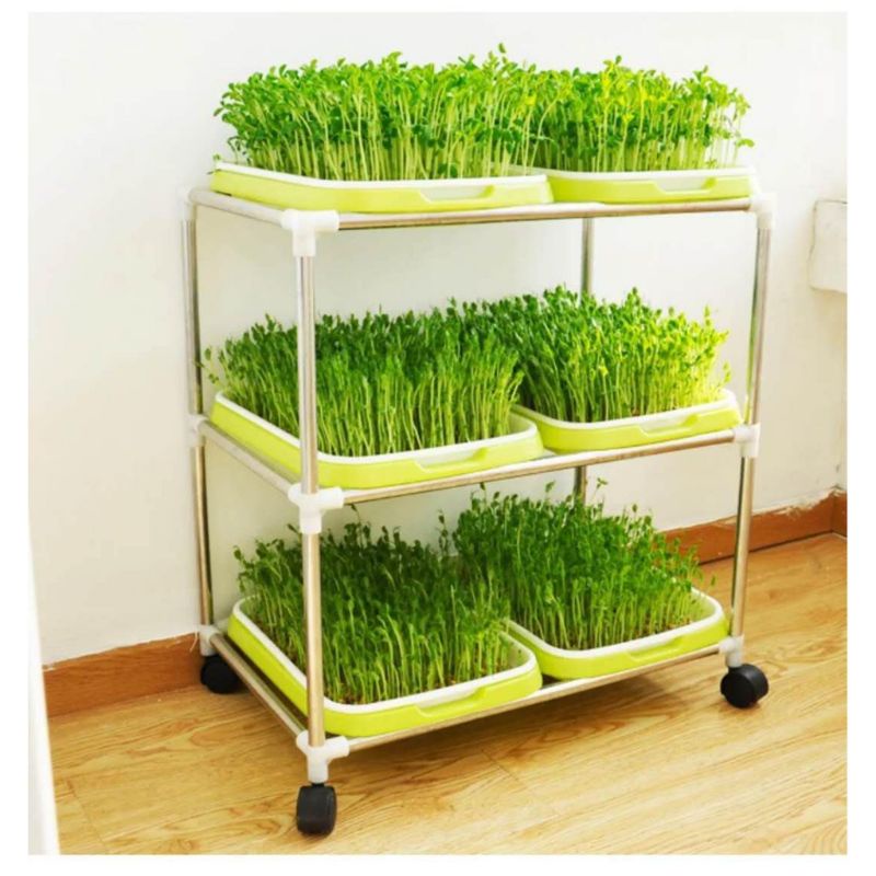 Kệ trồng rau mầm thông minh gồm 3,4,5 tầng