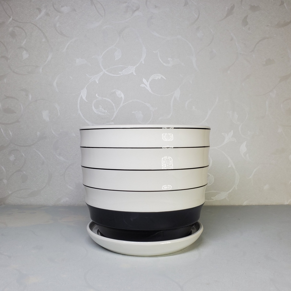 Chậu trồng cây cảnh có đĩa , cây bon sai , sen đá, xương rồng , gốm sứ Bát Tràng - Kiểu vành tròn màu trắng đen