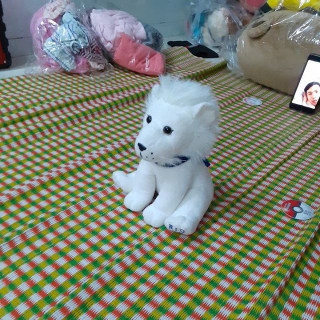 Gấu bông kieu nguyen