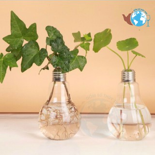 Bình bông lọ hoa 1 cành hình bóng đèn