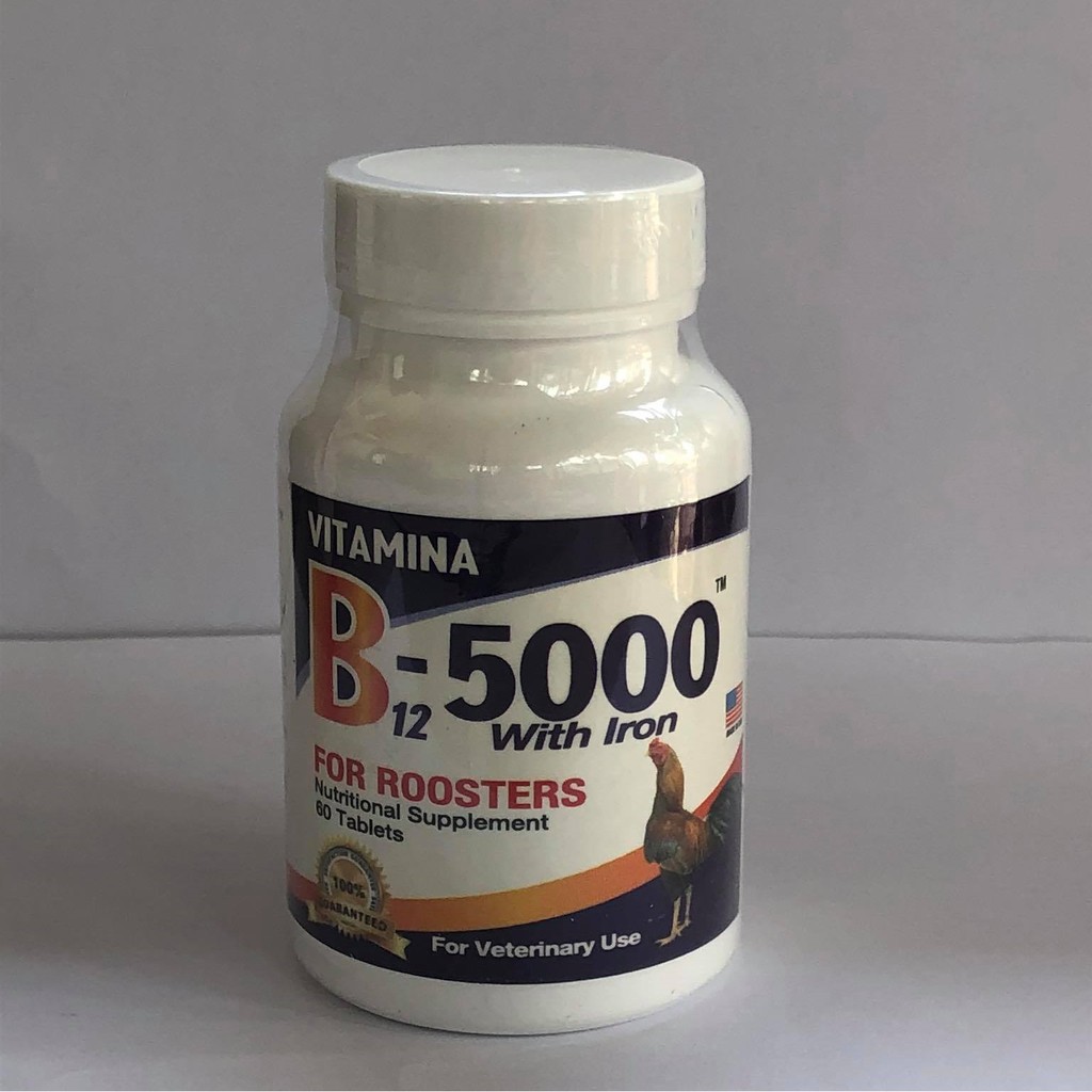 B12 5000 GIUP GÀ LEN NUOC MAU - HỦ 60 VIÊN