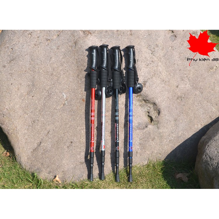 Gậy leo núi hợp kim nhôm hàng không Trekking Đi Rừng, Dã Ngoại, Đi Phượt
