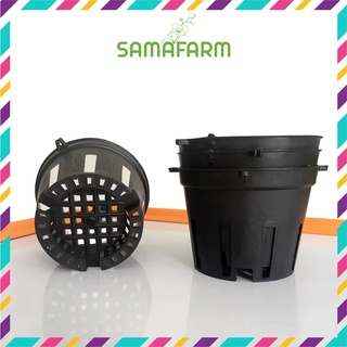 Combo 10 chậu nhựa đen trồng lan phi 10, 12 cm