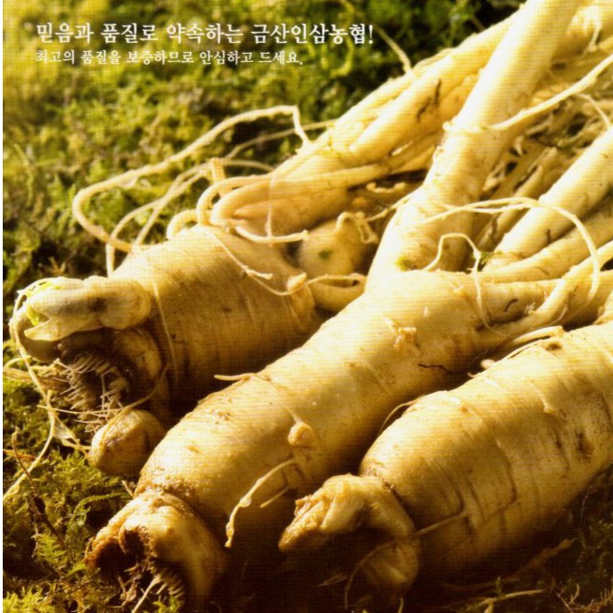 HDP Ginseng