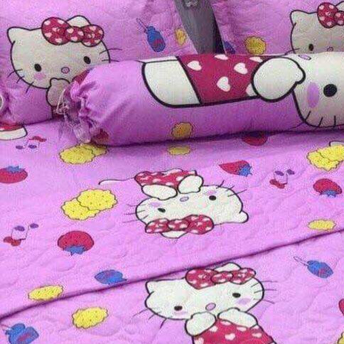 Combo 2 vỏ gối nằm,áo gối nằm được chọn mẫu trên bài đăng,Vải cotton poly,nhiều mẫu,hello kitty dâu